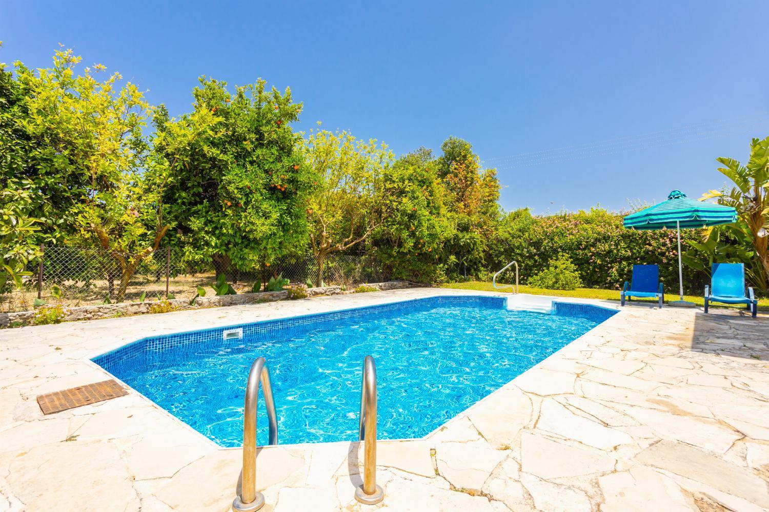 Sun Beach Villa Полис Екстериор снимка