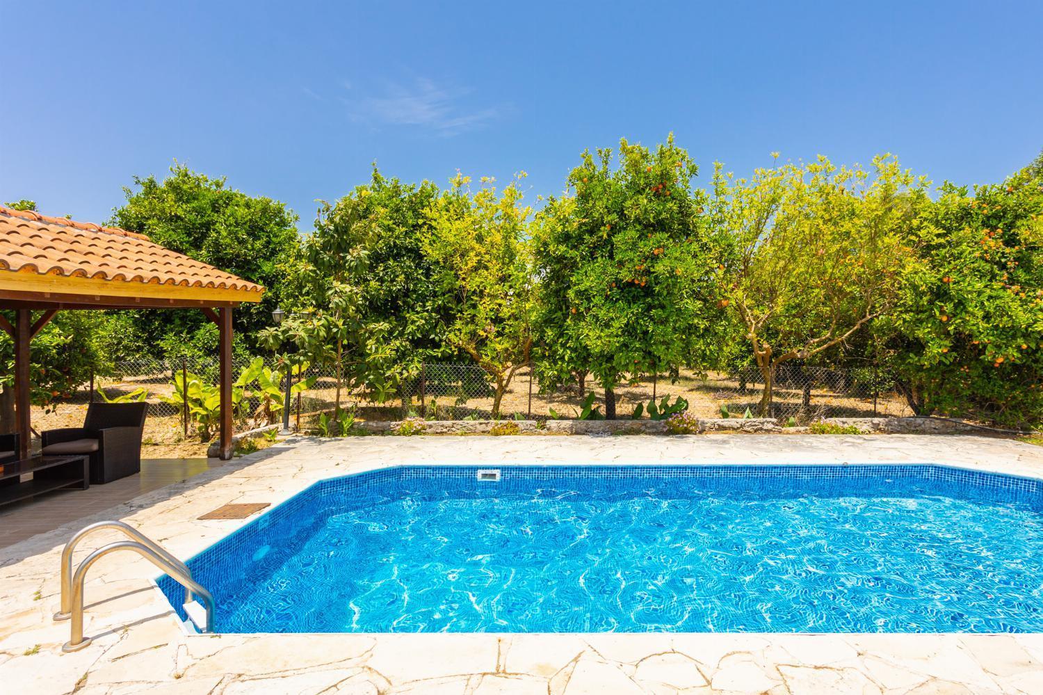 Sun Beach Villa Полис Екстериор снимка